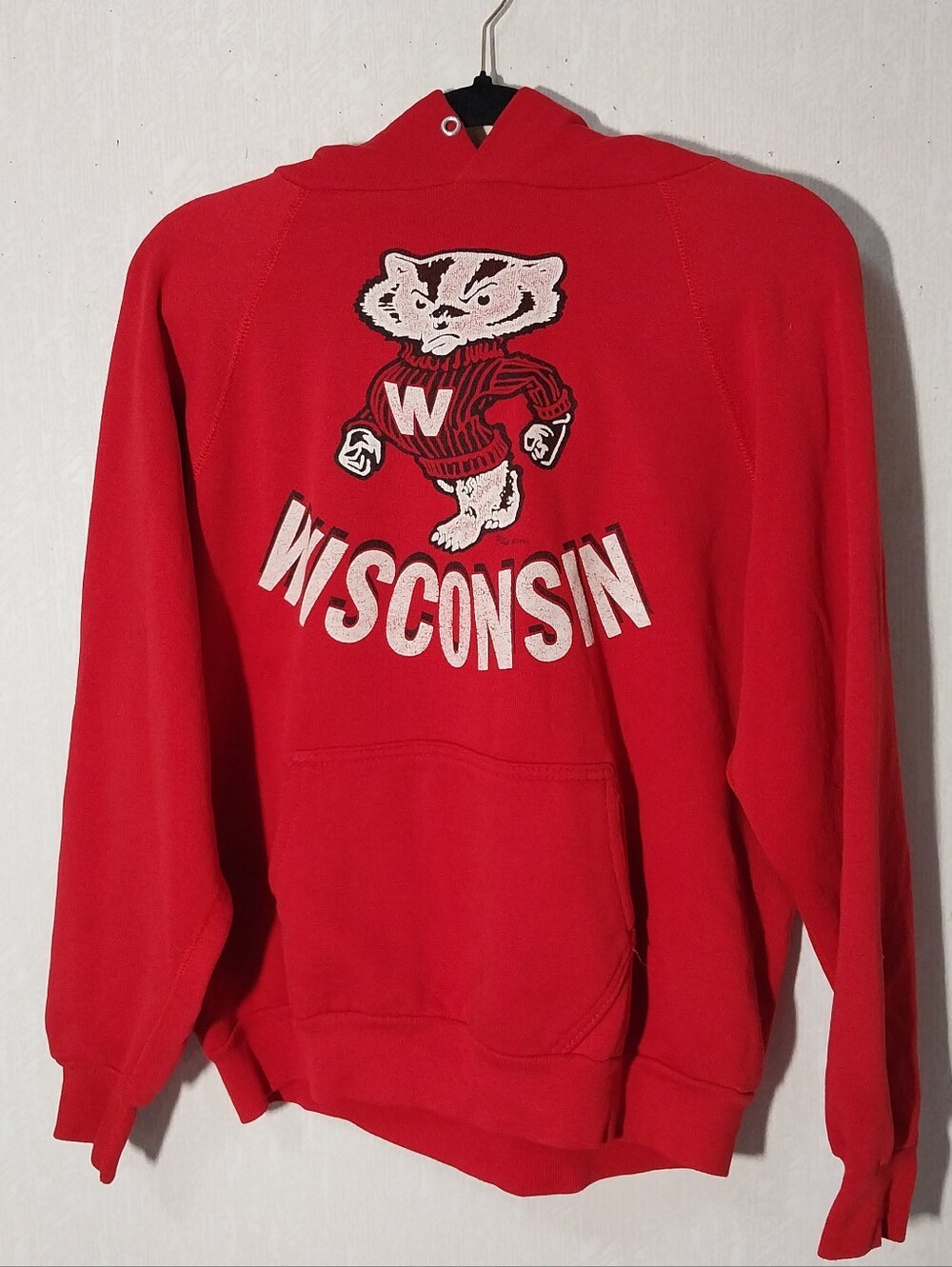 Vintage 90s Discus Athletic Wisconsin Badgers Hoodie Made in USA Size L